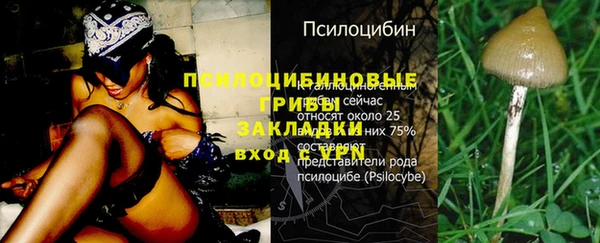 метамфетамин Пестово