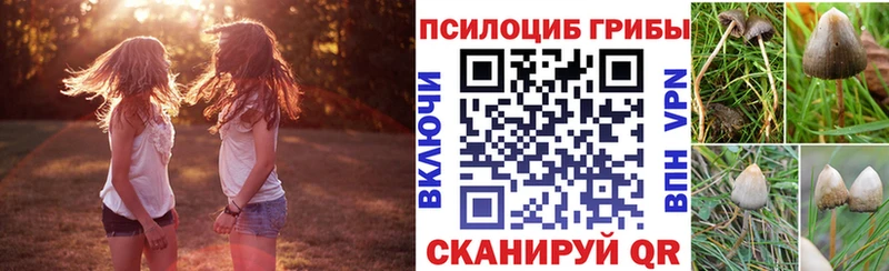 продажа наркотиков  OMG tor  Галлюциногенные грибы мицелий  Суоярви 